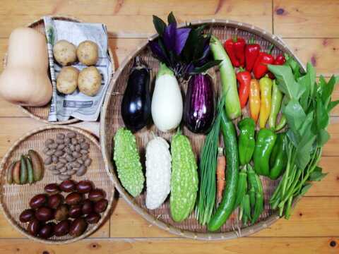 【農薬化学肥料不使用】フィンガーライム(２０～３０ｇ)入り野菜セット【８種類以上の野菜】【金曜日発送】【熨斗(のし)対応可】【８０サイズ箱】