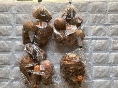 ☆ほくほく食感が魅力！赤芽里芋（セレベス）2Kg（子芋1.5kg、親芋0.5