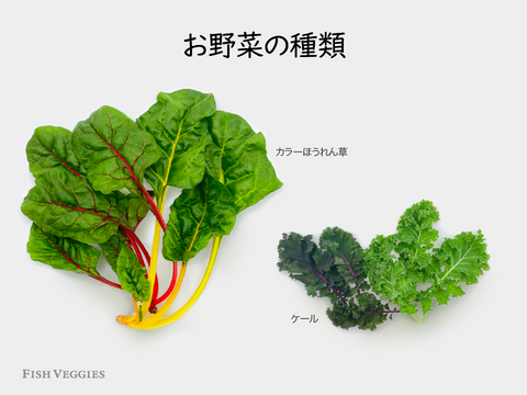 【パーティ用】ブーケサラダセット　新鮮！採れたて！化学肥料/農薬不使用だから安心して食べられる