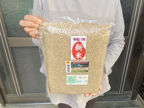 令和７年9月に刈り取りました新米☆☆いのちの壱(超大粒)☆酵素散布米いのちの壱 玄米1キロ以内精米無量