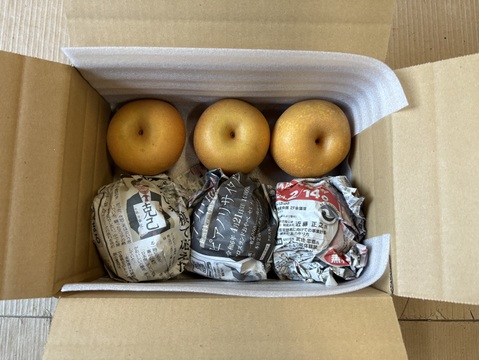 【完熟収穫】富山県産幸水梨（徳用・ご家庭用1.8kg）