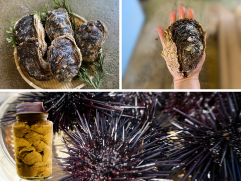 【6、7月限定】牡蠣とウニの詰合せ①（カキ中5個、ウニ1瓶）　※日付指定不可