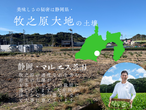 〈メール便〉静岡産 無添加・蜜しっとり国産ドライいちじく20ｇ×3パック　砂糖不使用　静岡県牧之原産　国産　セミドライ　お試しサイズ　小分けタイプ