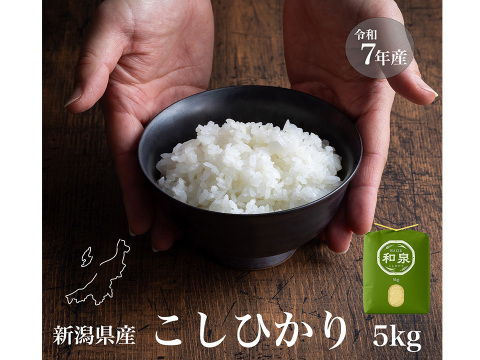 新潟県産コシヒカリ,和泉,5kg,令和7年新米,【受注後精米・農家直売