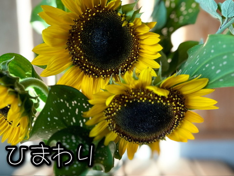 奥出雲産自然草ブーケ