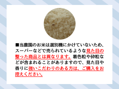 ＼フォロワー限定／【信州産】新米10kg「風さやか」／本気農場いけだ　※商品説明文を必ず最後までご確認ください※