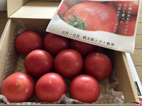 丹波の恵❗️絶妙な甘さのトマトを食卓に❗️【約2k入❗️】