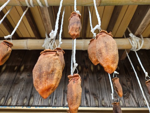 ★自然栽培品　干し柿　愛宕柿　1パック12個入り　天日干し自然乾燥品