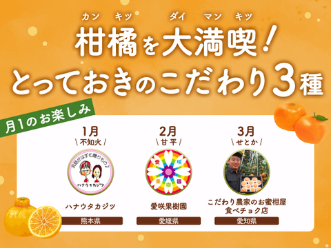 【限定300セット】旬の柑橘 食べ比べ便🍊（食べチョク公式）