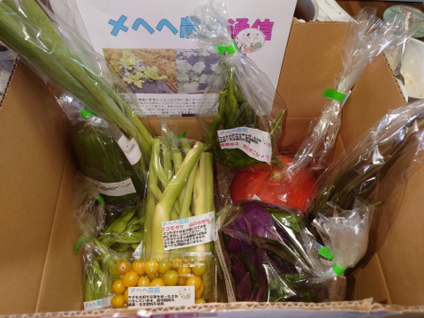 【初回限定価格】ヤギまっしぐら！ほんのり味わい深い野菜セット