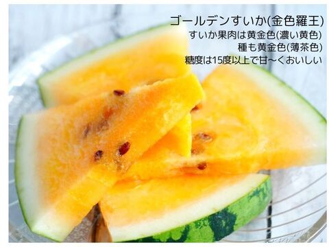 【予約受付】尾花沢すいか『金色羅王』4Ｌx2玉  糖度15度以上の極甘【夏ギフト】