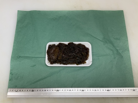 【海藻です】ウミゾウメン/希少な海藻/個性派食感/もずくと同じ食べ方でOK【生】