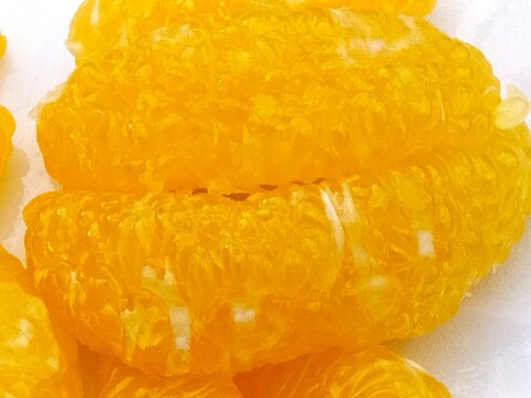 朝採りの食べ比べ☆完熟の「はるひ」と旬の「甘夏」＝3kg☆ 農薬・肥料・除草剤不使用