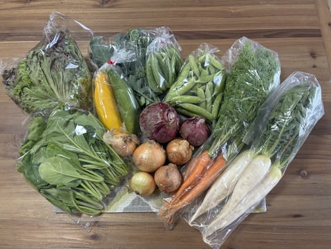根っこ農園　自然風味お野菜セット