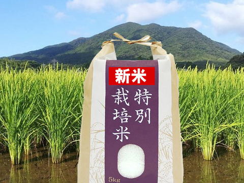【令和７年度新米】白米「夢つくし」(５kg) 農薬・除草剤不使用の特別栽培米（福岡エコ農産物認証）安全・安心・美味リンゴガイ農法