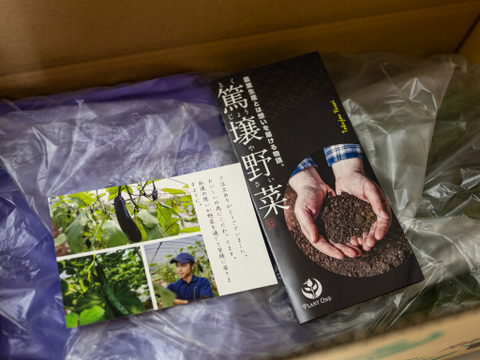 【金の土】胡瓜の一本漬けとナスとキュウリの3点セット