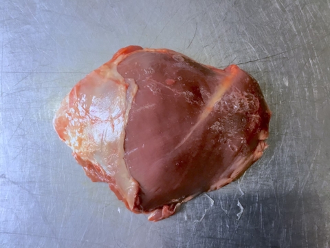 【京都美山】天然鹿肉　ランプ肉 ブロック【約300~350g】