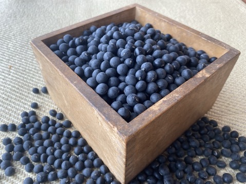 【新豆・即日発送】2025年産 丹波黒大豆「大粒L」お正月に間に合います！500g