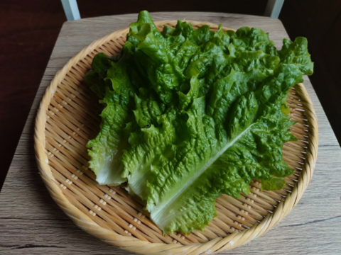 奥出雲産自然栽培サンチュ(300g)