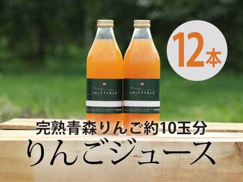 完熟青森りんご100%【しぼってそのまんま】濃厚りんごジュース(1L×12本入)