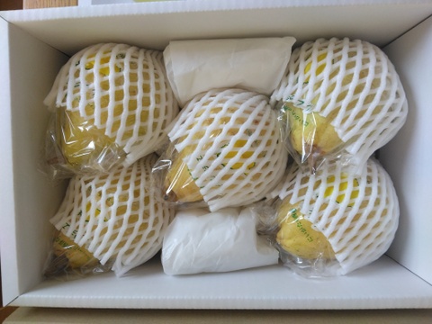 たかはし果樹園謹製 高級西洋梨「ル・レクチェ」青秀品 中玉 約2kg