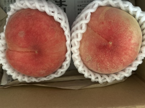 桃名人厳選　桃【ご家庭用　訳あり商品】白桃約2ｋｇ(5-9玉）