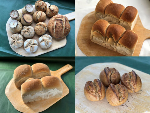 【超貴重な有機JAS認証パン】パンセット⑭＋Singleパン⑨+⑩+⑮：麦の栽培から一貫生産　自然栽培小麦のみ使用したパンセット