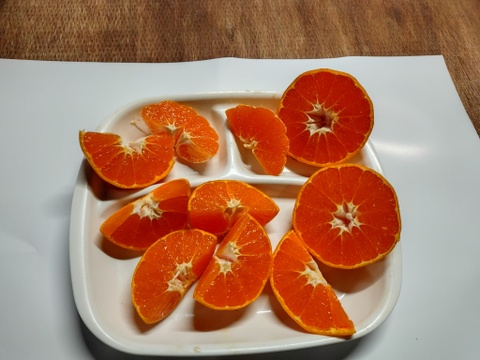 樹上完熟阿波のかがやき　(西南のひかり）2ケース同梱販売開始‼