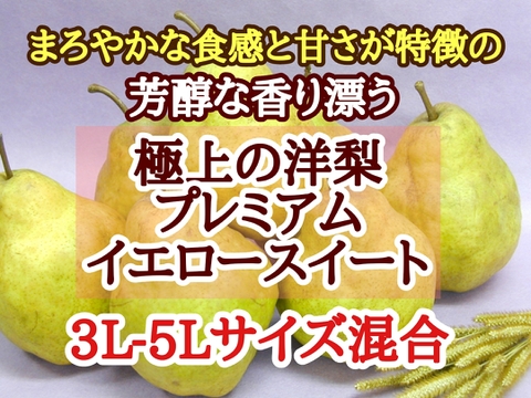 【希少品種の為数量限定】乳酸菌・ミネラルで体に優しい成分で育ったプレミアム洋梨 イエロースイート 3L-5Lサイズ混合
