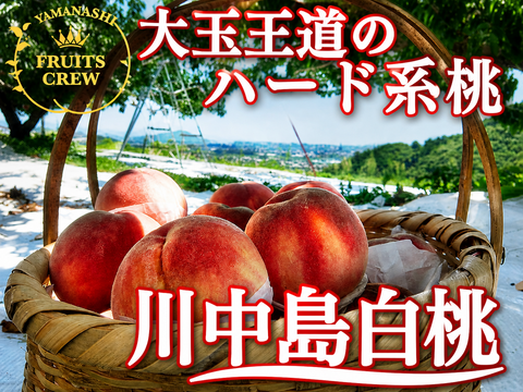 【大玉の王道ハード系 川中島白桃】本場山梨の品種指定キャンペーン🍑香り高く食味抜群の人気品種✨お試し約1㎏🍑7月下旬～発送🍑