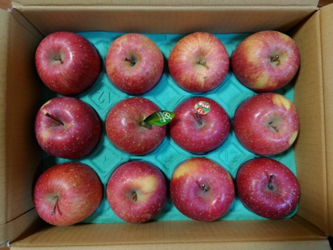 食べきりサイズの小玉です❗個性派りんご🍎葉隠れサンふじ  （12個～14個）3キロ箱使用