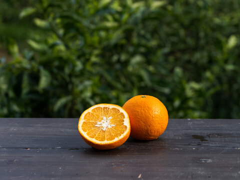 【農薬・除草剤不使用栽培】紅甘夏 Bセレクション5kgBOX