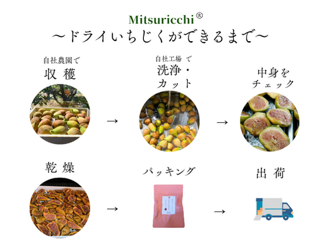 〈メール便〉静岡産 無添加・蜜しっとり国産ドライいちじく180g（Mitsuricchi®製法）メール便　静岡県産　国産