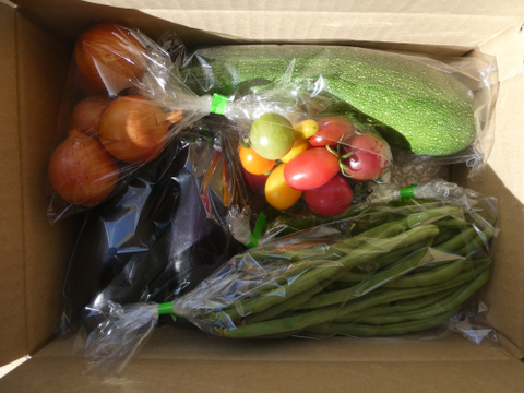 一人暮らしの方に・季節の野菜セット５～７品（Ｓサイズ・1～1.5kg前後）【お試しサイズ】