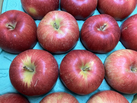 青森県産りんご 「シナノスイート」 家庭用 キズ有 約10kg(5kg×2箱)【人気・光センサー選果】