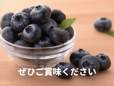 【！もぎたてすぐ冷凍！】愛知県産の冷凍ブルーベリー350g×2pc