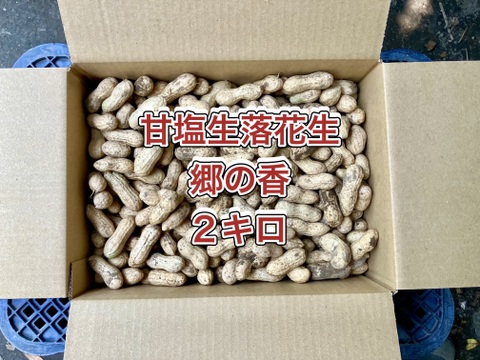 【鹿児島産】甘塩生落花生箱込み2キロ^_^