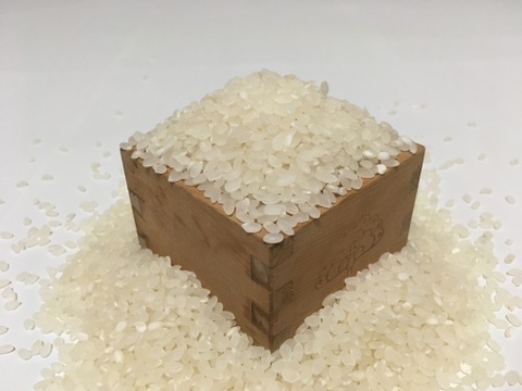 【2025年度新米】＊新米食べ比べセット＊ 信州 姨捨棚田の登録商標米　信州名月 オバステ観月