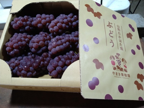 ※クール便！生産量日本一『（山形高畠産デラウェア』L〜Mサイズ7房〜9房入り