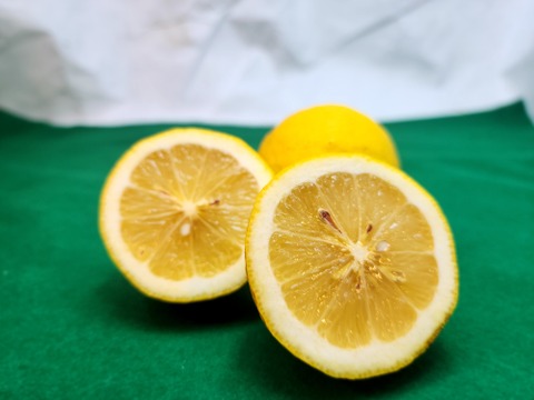 箱込約5㌔　レモン　本日の特売品