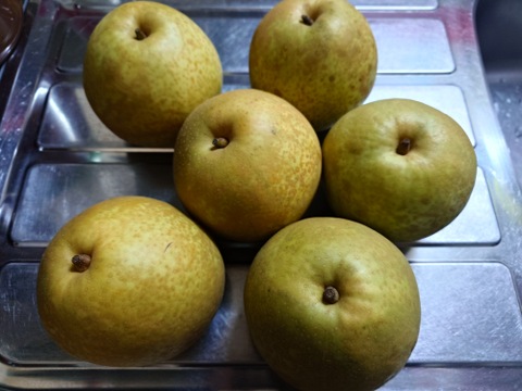 【鳥取県産】甘太　梨　約3kg