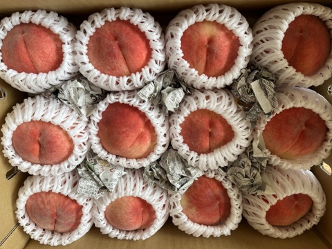 桃　あかつき　良品　約3kg (8個〜14個)数量限定