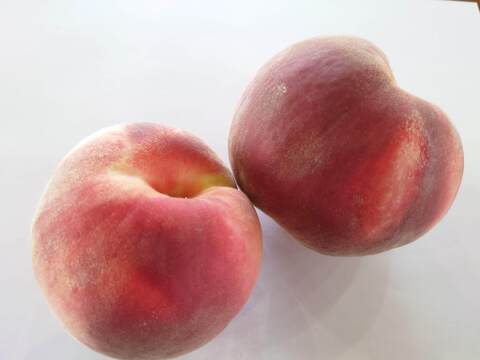 【訳あり】桃 ご家庭用 品種おまかせ約3kg【数量限定】