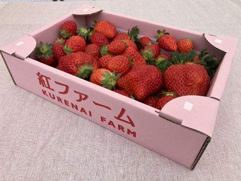 【規格外】たっぷり約2kg⭐︎食べ比べおまかせ3品種