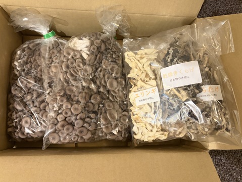 ももちゃん様専用品