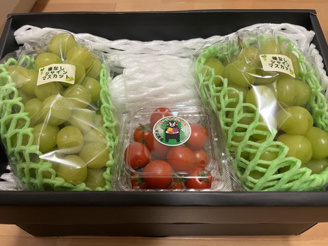 シャインマスカット２房