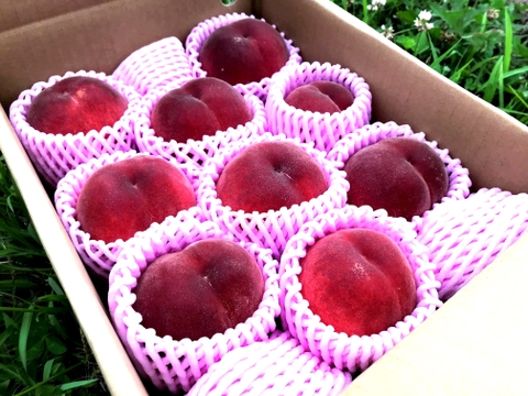 【有機JAS認証の美味しい桃約3kg（第四期）】自然に優しく希少でジューシーな天然桃(9～11個入)！