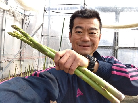 シャキシャキ！さぬきのめざめ秀品Lサイズ夏芽１㎏