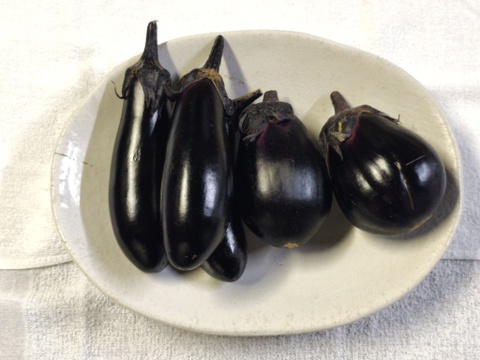 【栽培期間中　農薬不使用！】旬の夏野菜をBBQで味わい尽くす福野菜BBQセット(80サイズの箱に入るだけ　3-5種類程度）