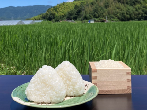 感謝祭！20kgの感謝を込めて【新米】令和5年・白米・玄米　20㎏ 優良金賞受賞米　きぬむすめ　栽培期間化学肥料不使用